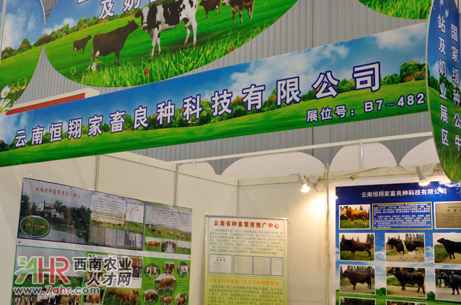 2013ЇϹI(y)չ[չλ،:ϺNƼ޹˾