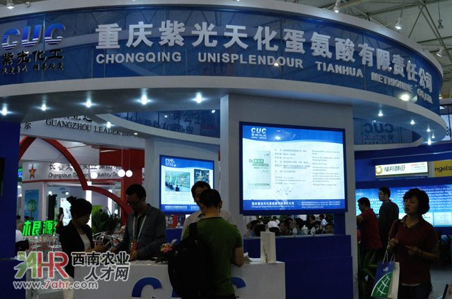 2013ЇϹI(y)չ[(hu)չλ،:ؑcϹ컯؟(z)ι˾